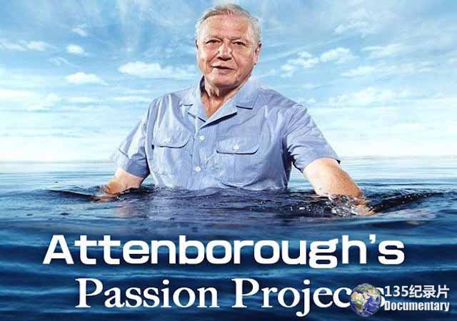 BBC科学探索纪录片《爱登堡的兴趣项目 Attenborough’s Passion Projects》全4集