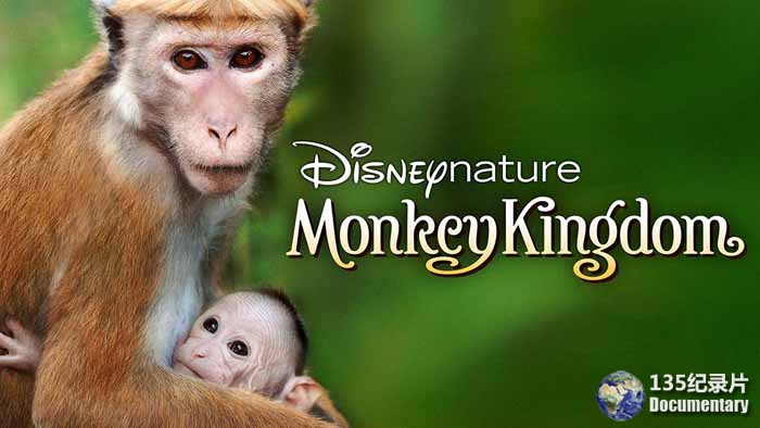 迪士尼自然生物纪录片《猴子王国 Monkey Kingdom 2015》