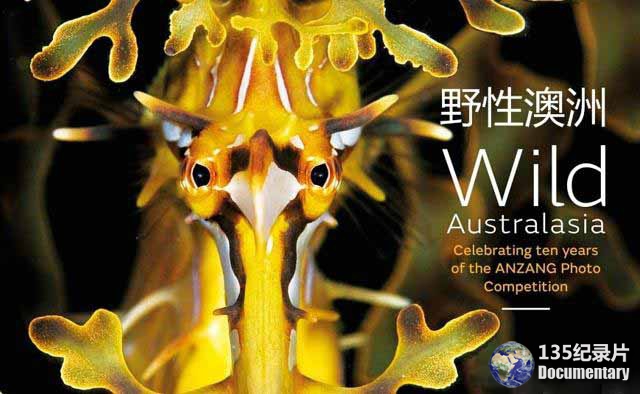 BBC自然生态纪录片《野性澳洲 Wild Australasia 2003》全6集