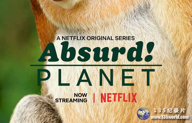 Netflix野生动物纪录片《怪诞星球 Absurd Planet》全12集