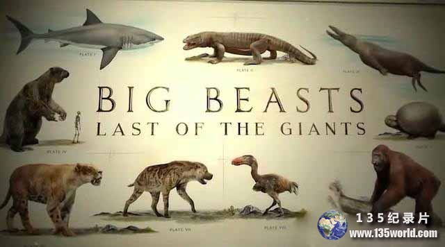 央视野生动物保护纪录片《终极巨兽档案 Big Beasts: Last of the Giants》全3集