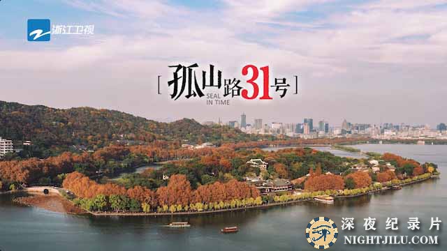 人文艺术纪录片《孤山路31号》全3集