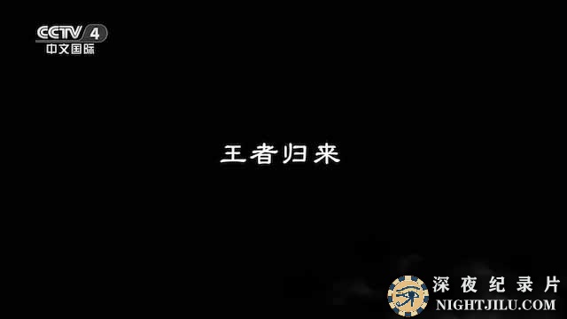 央视东北虎种群保护纪录片《王者归来-中国国家公园》全4集 