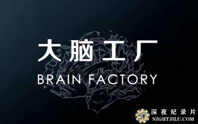 央视人体数字化纪录片《大脑工厂 Brain Factory》全1集