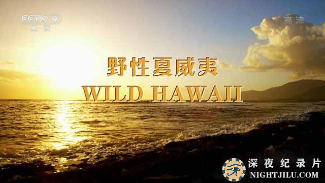 央视自然生态纪录片《野性夏威夷 Wild Hawaii》全1集