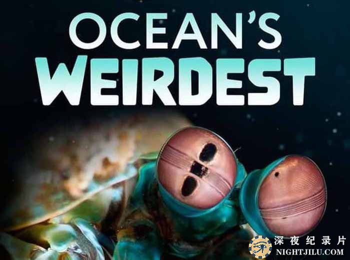 国家地理海中怪客纪录片《奇异的海洋 Oceans Weirdest》第1季