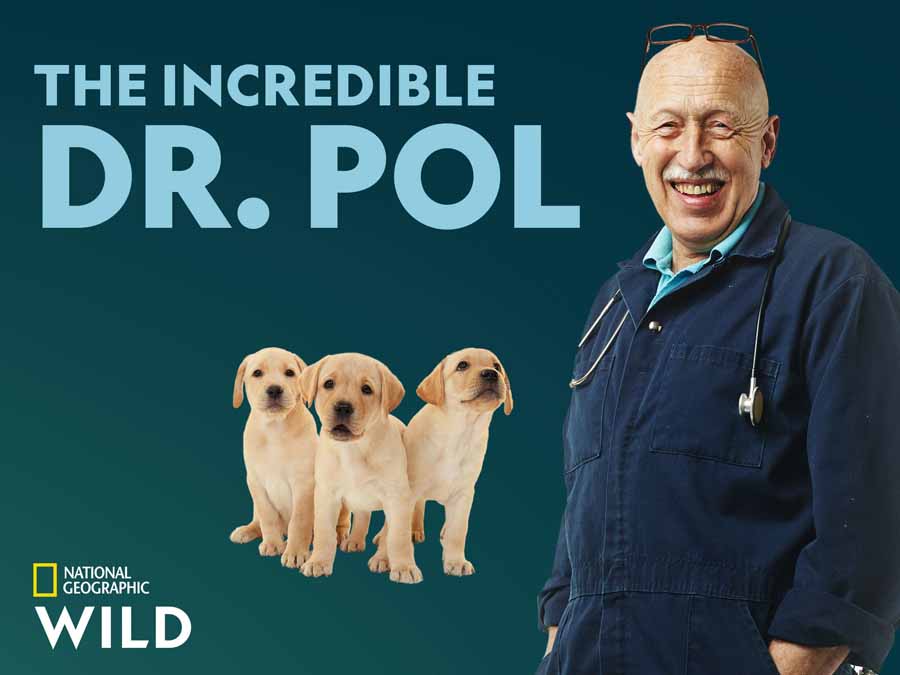 国家地理妙手兽医纪录片《动物神医 The Incredible Dr.Pol》第5季