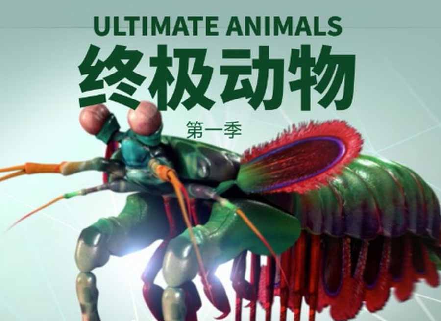 国家地理生物研究纪录片《终极动物 Ultimate Animals》第1季