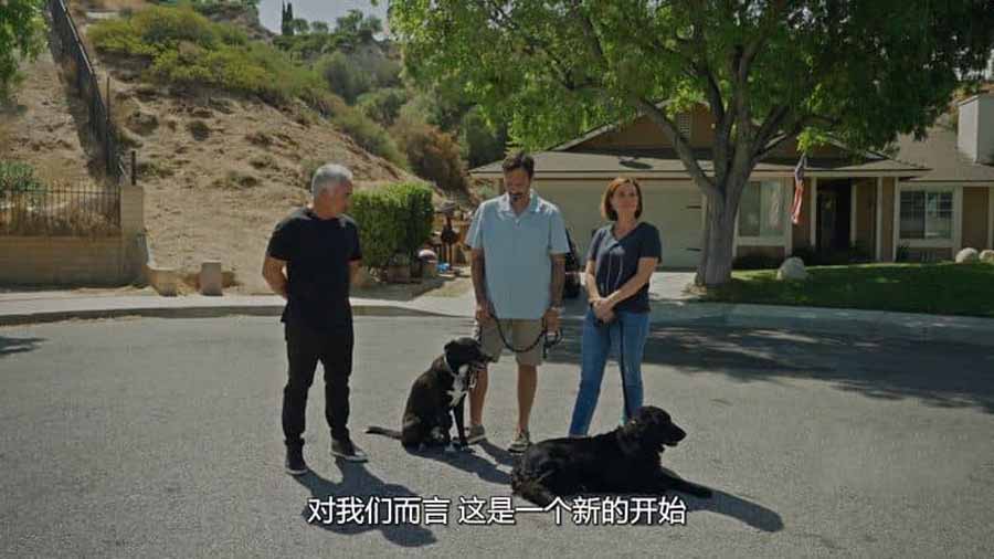 国家地理宠物狗训练纪录片《西泽教官狗主人训练班 Cesar Millan: Better Human Better Dog》第2季