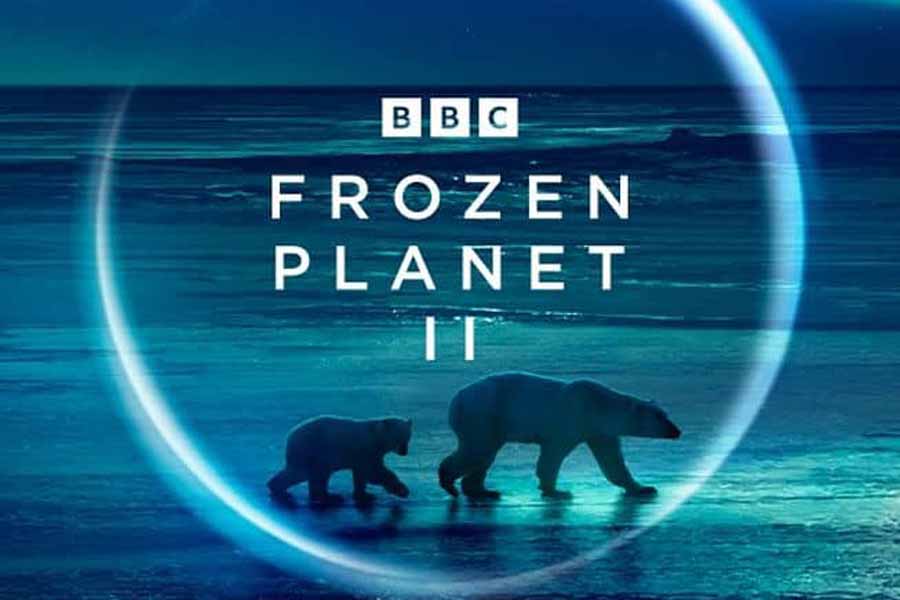 BBC极地生态纪录片《冰冻星球 Frozen Planet II》第2季