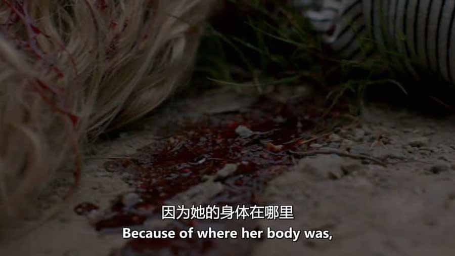 探索频道犯罪调查纪录片《魔鬼住在这:死亡阴影 Evil Lives Here: Shadows of Death》第4季