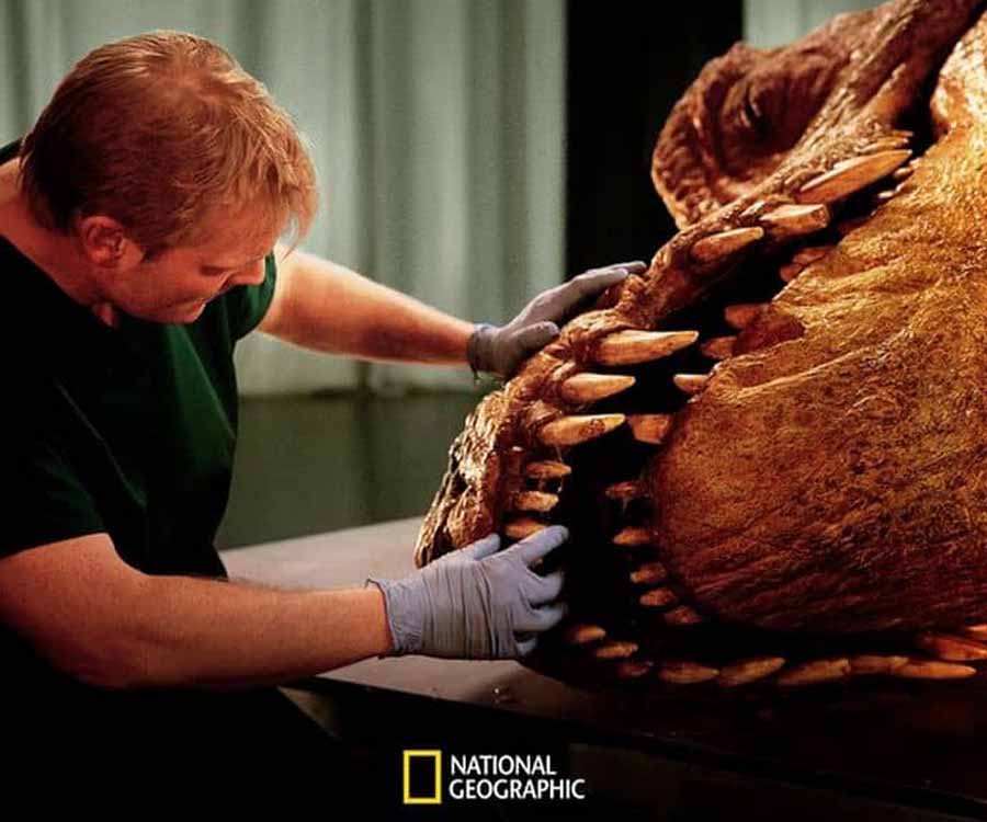 《解剖霸王龙 T. Rex Autopsy》纪录片资源百度云盘下载 1080P全1集中字